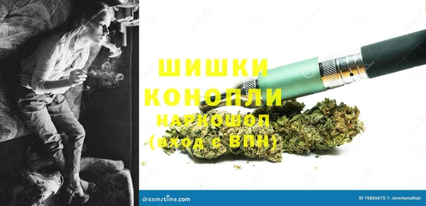 индика Алзамай