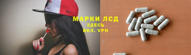 индика Алзамай