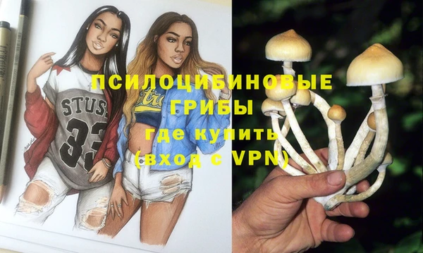 круглые Покачи