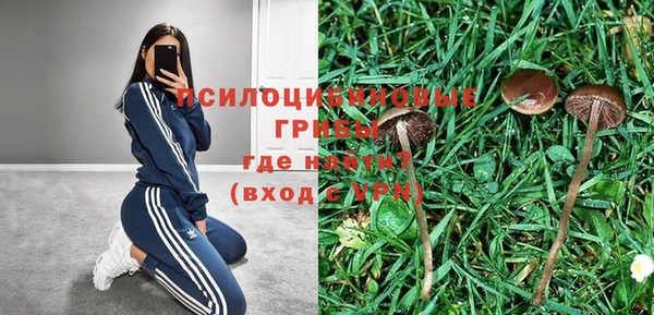 ПСИЛОЦИБИНОВЫЕ ГРИБЫ Алексеевка