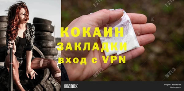 ПСИЛОЦИБИНОВЫЕ ГРИБЫ Алексеевка