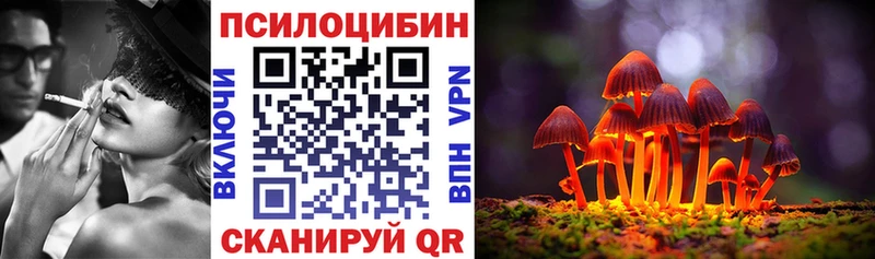 MEGA онион купить цена Каргат Галлюциногенные грибы Psilocybe